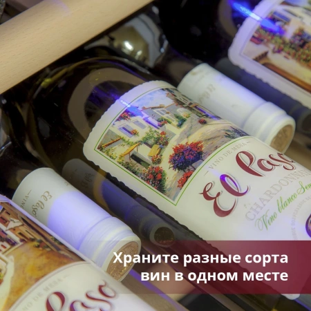 Винный шкаф Cold Vine C38-KSF2