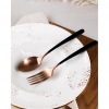 Ложка чайная P.L. Proff Cuisine 16,1 см ручка матовый черный, медь PVD Provence